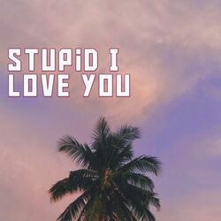 Stupid I Love You