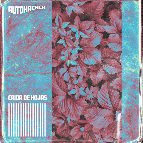 Caida de Hojas