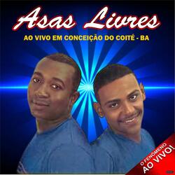 Voando Até Você