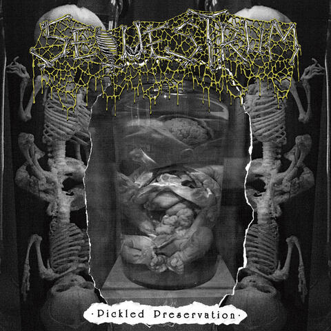 Preserved to Last