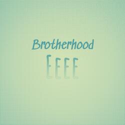 Mademoiselle Apricot