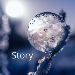 Story