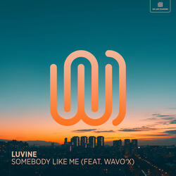 Somebody Like Me