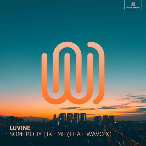 Somebody Like Me