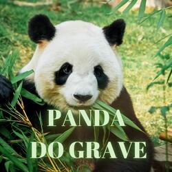 Panda do Grave