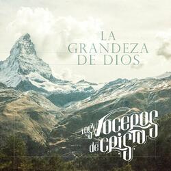 Las Bodas Del Cordero