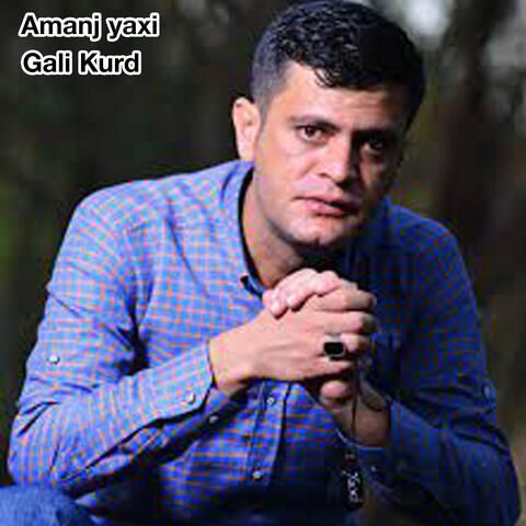 Gali Kurd
