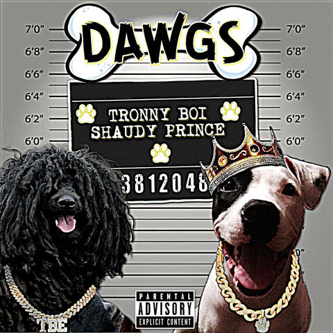 Dawgs
