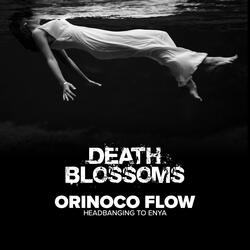Orinoco Flow (Sail Away) - Instrumental