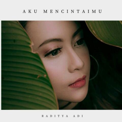 Aku Mencintaimu