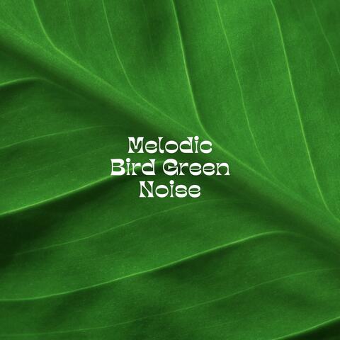 Melodic Bird Green Noise