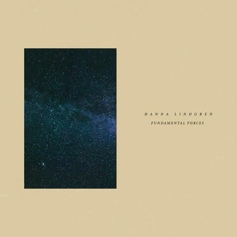 Fundamental Forces