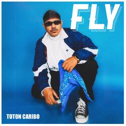 Fly