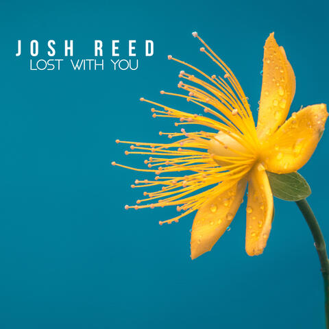 Lost with you