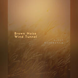 Brown Noise Wind Tunnel