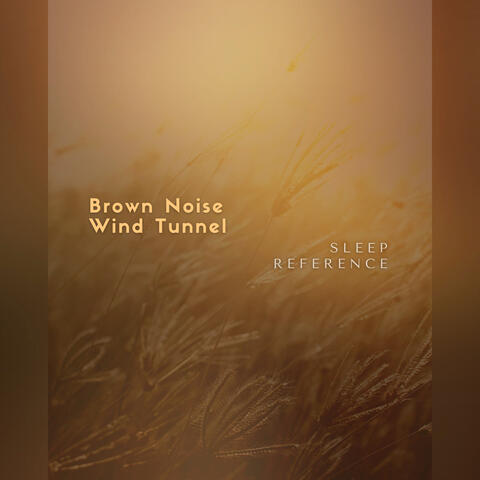 Brown Noise Wind Tunnel