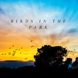 Birds in the Park
