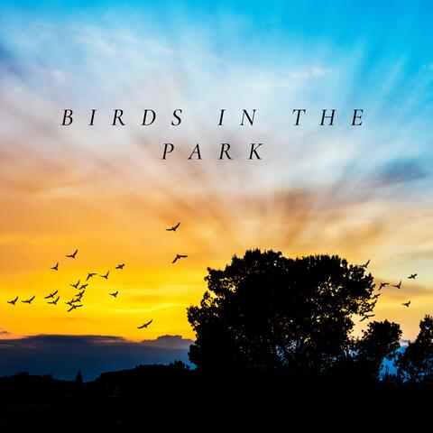 Birds in the Park