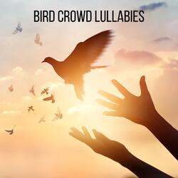 Bird Crowd