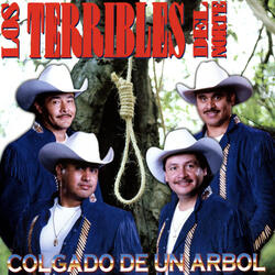Dos Gallos
