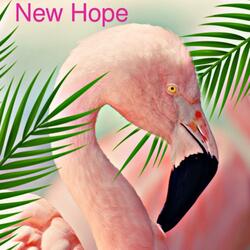 New Hope