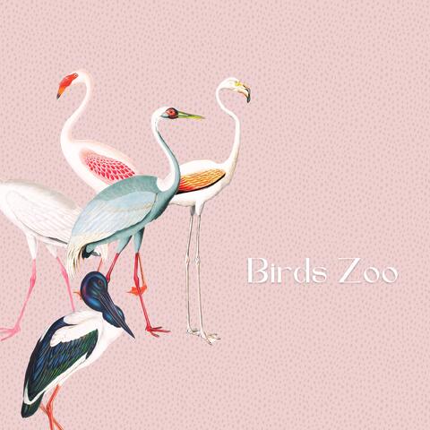 Birds Zoo