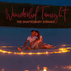 Wonderful Tonight