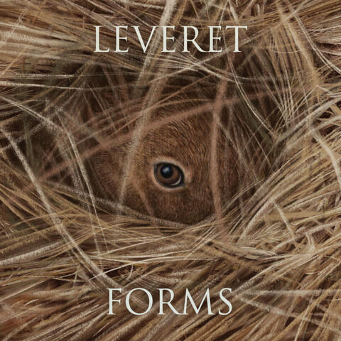 Forms