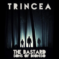 Trincea