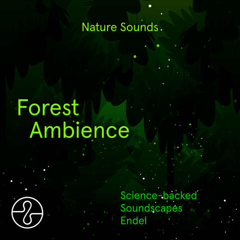 Nature Sounds: Forest Ambience