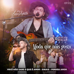 Pout Pourri: Você Não Sabe o Que é Amor / Sinais / Perdoa Amor