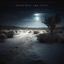 Searching for peace