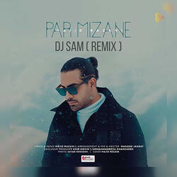 Par Mizane