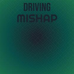 Driving Mishap