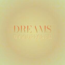 Dreams Woodpecker