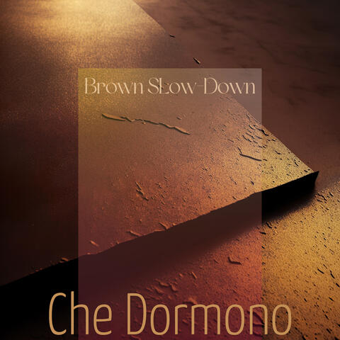 Brown Slow Down
