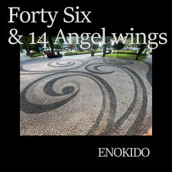 Forty Six & 14 Angel Wings