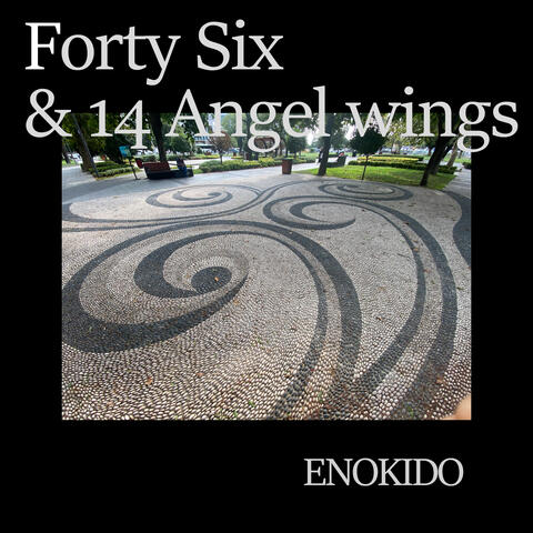 Forty Six & 14 Angel Wings