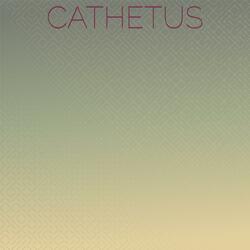 Squirting Noncurrent