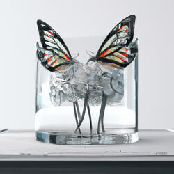 Kill These Butterflies
