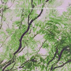 Leaves (Green Noise)