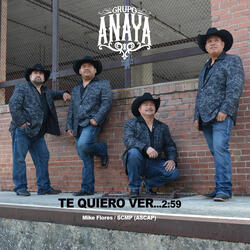 Te Quiero Ver