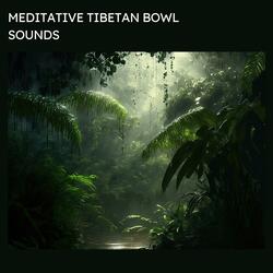 Gong Sound (Soundbath - Mountain Rain s)