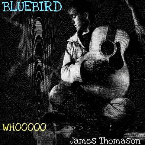 Bluebird - Whooooo