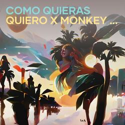 Como Quieras Quiero X Monkey Spinning