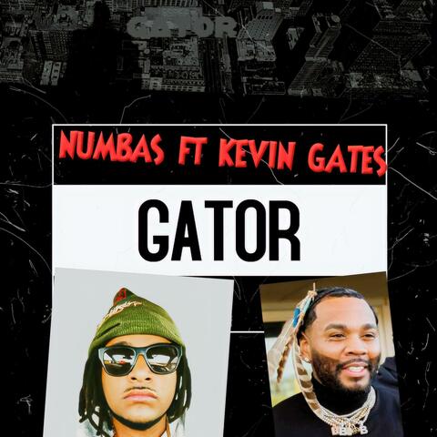 Gator