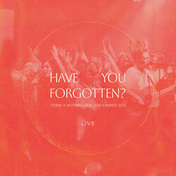Have You Forgotten (There Is Nothing Our God Cannot Do)