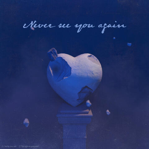 Never See You Again