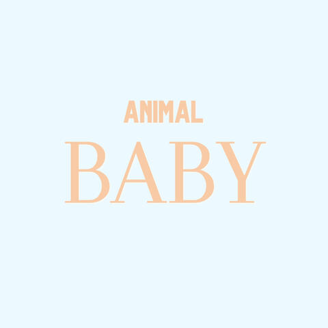Animal Baby