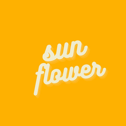 Sun Flower